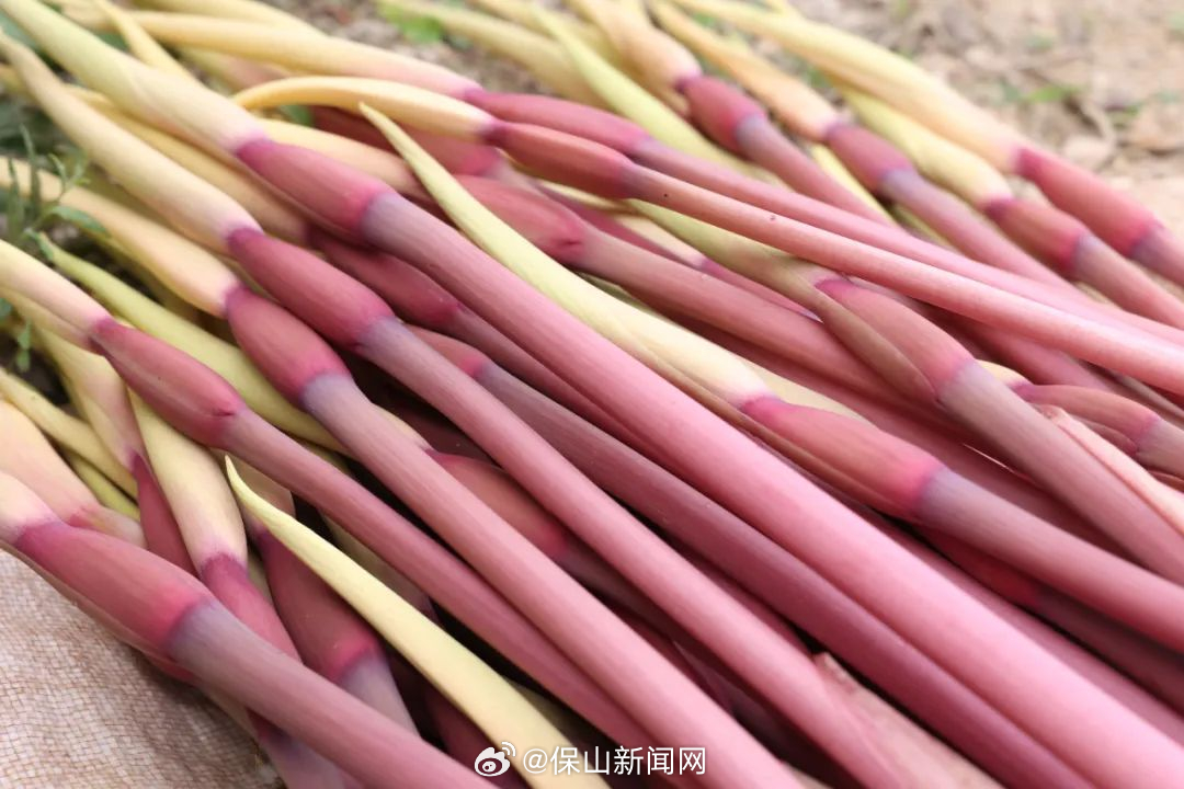 保山新闻网