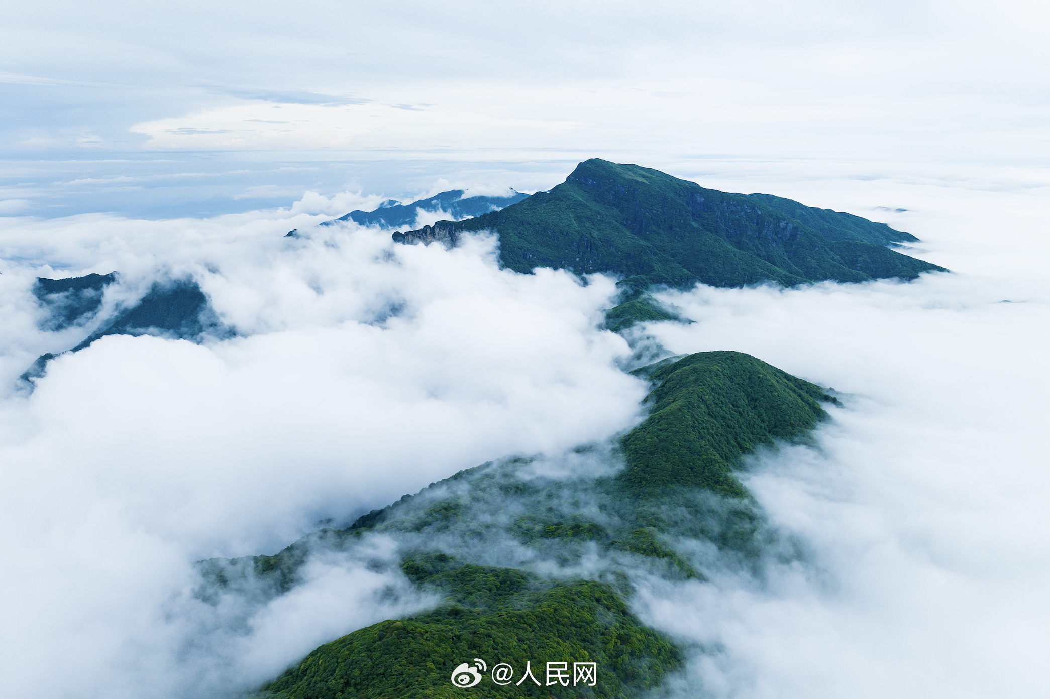 人民网