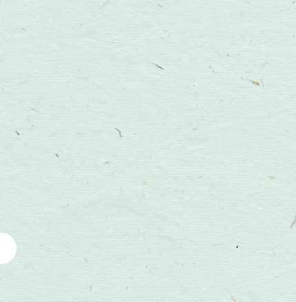 云南政法