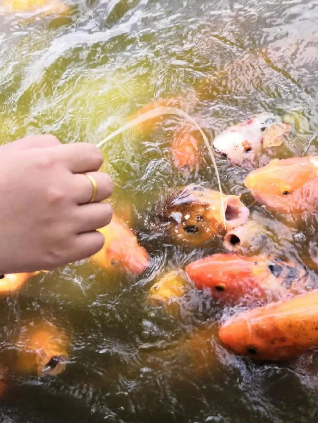 昆明西山发布