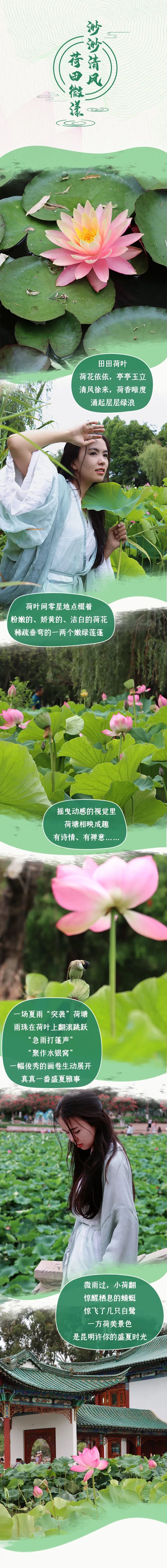 掌上春城微信