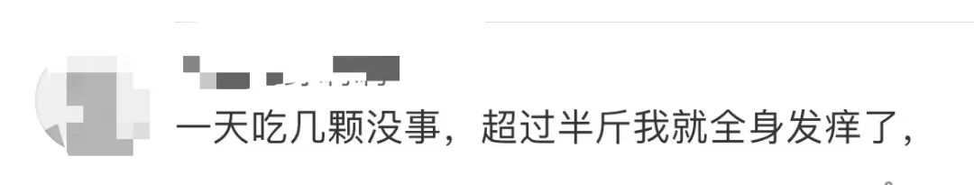 掌上春城微信