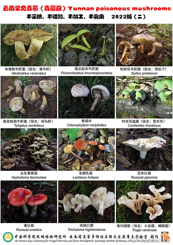 昆明官渡发布