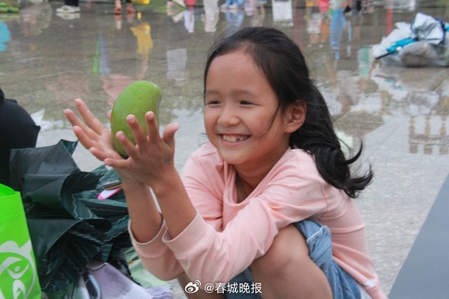 春城晚报