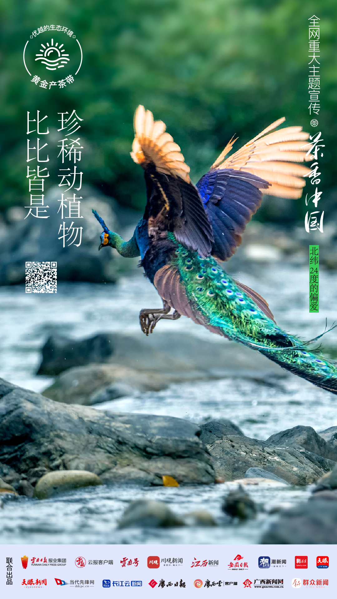 云南省文化和旅游厅