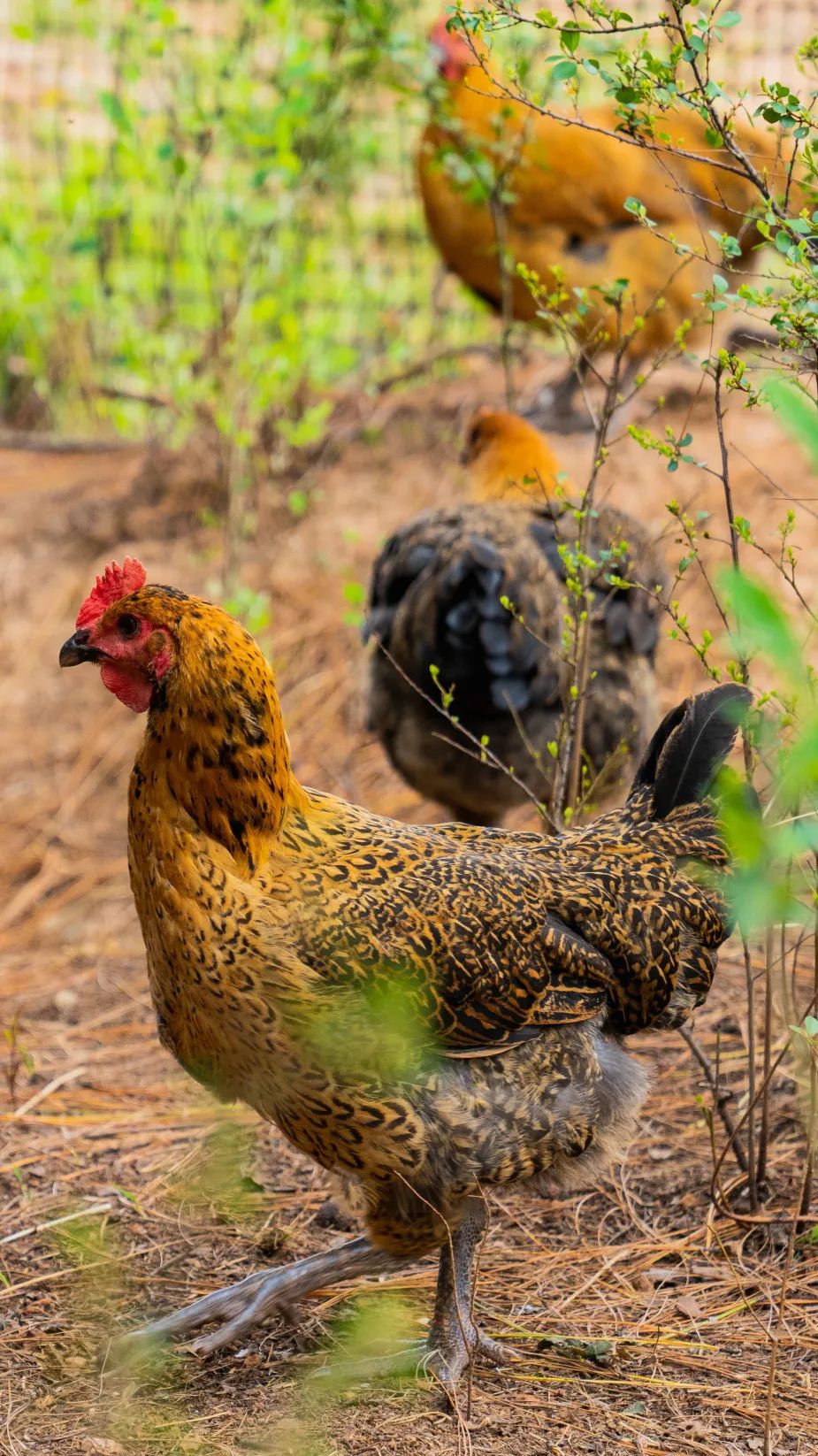 晋宁诗意的栖居地