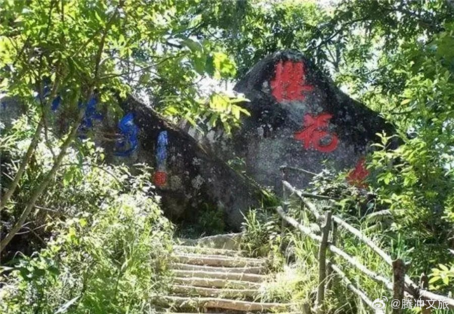 腾冲樱花谷中的别样感受