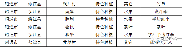 昭通日报