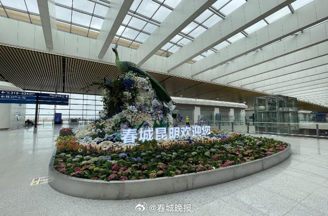 春城晚报