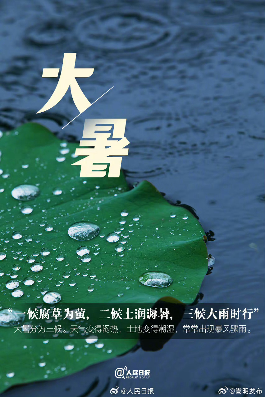 嵩明发布