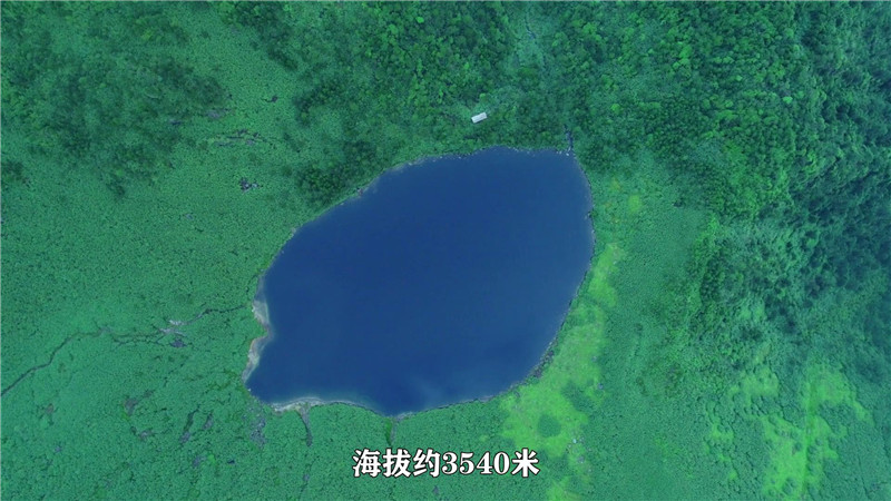 云南省文化和旅游厅