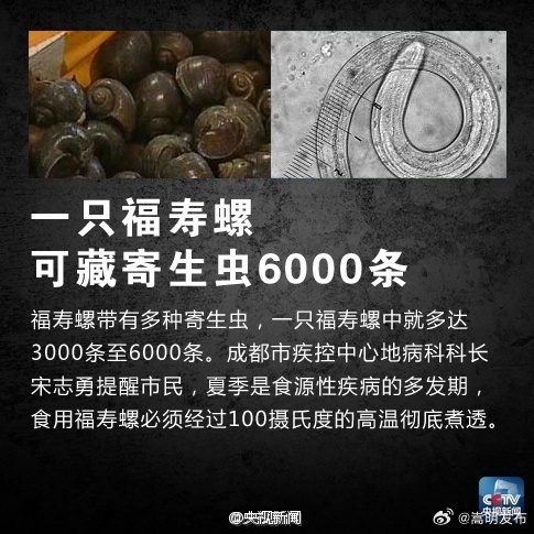嵩明发布