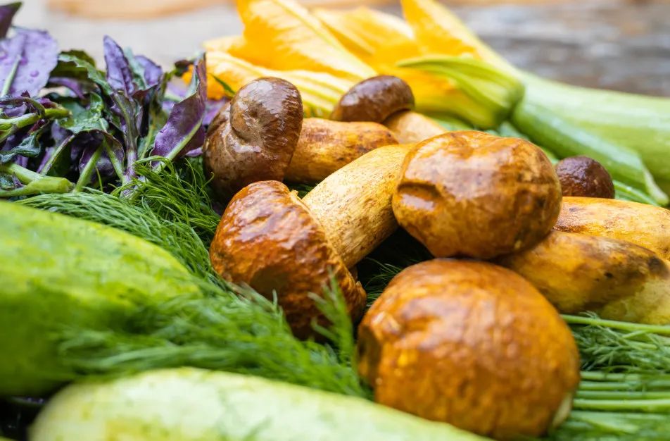 晋宁诗意的栖居地