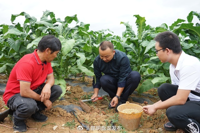 昆明盘龙发布