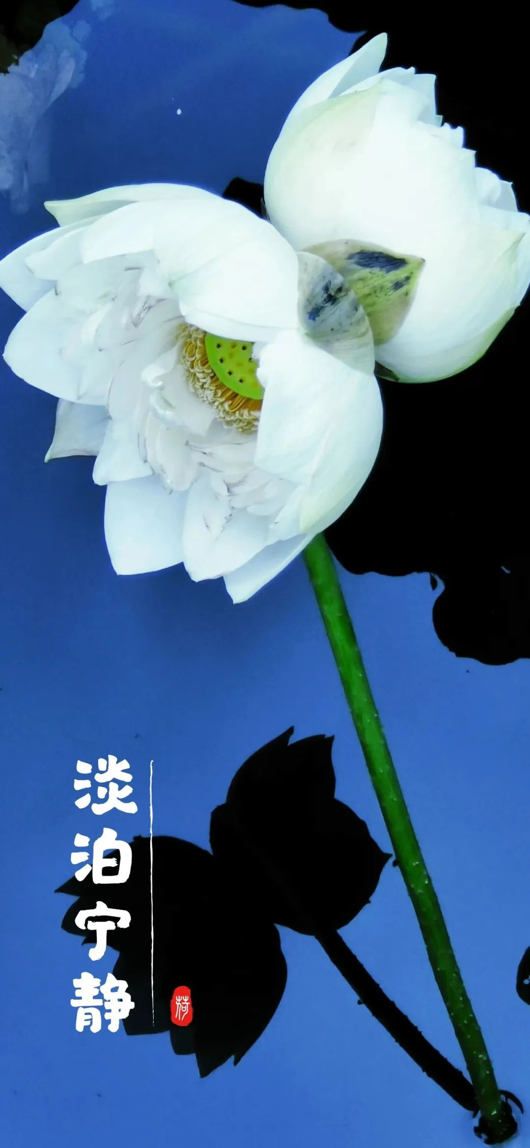 云南省文化和旅游厅