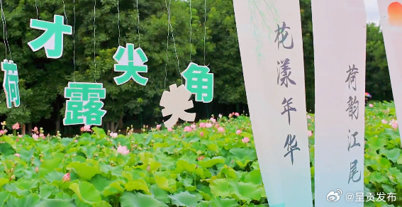 呈贡发布