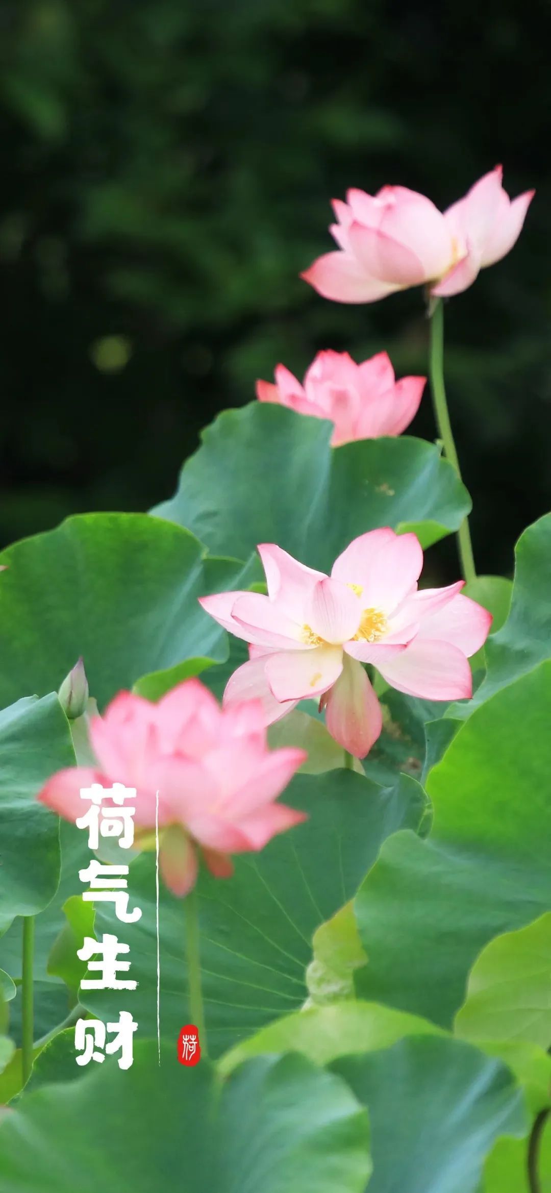 云南省文化和旅游厅