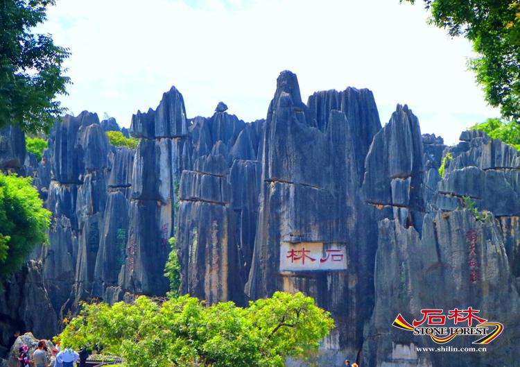 石林旅游网