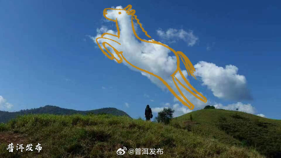 普洱发布