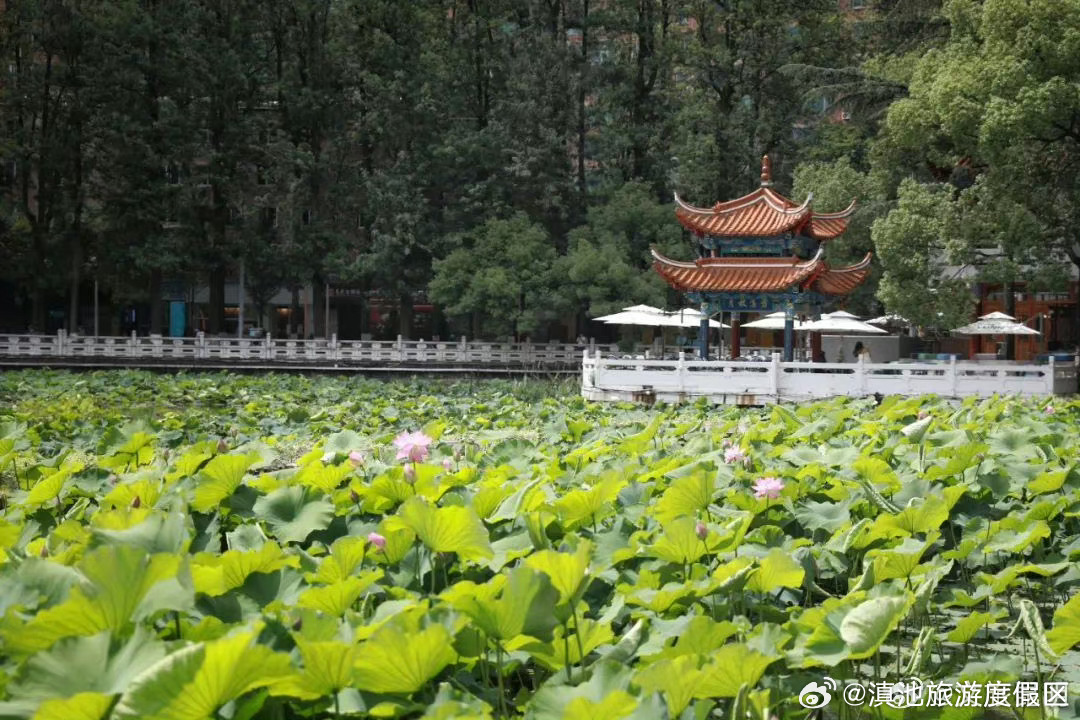 滇池旅游度假区