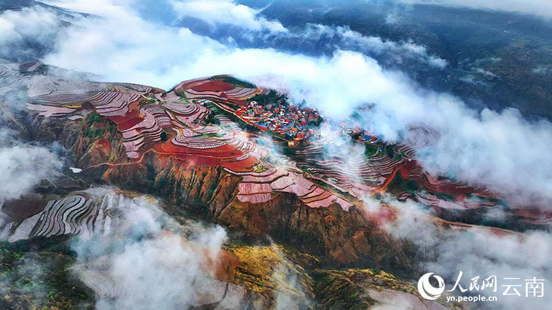 云南省文化和旅游厅