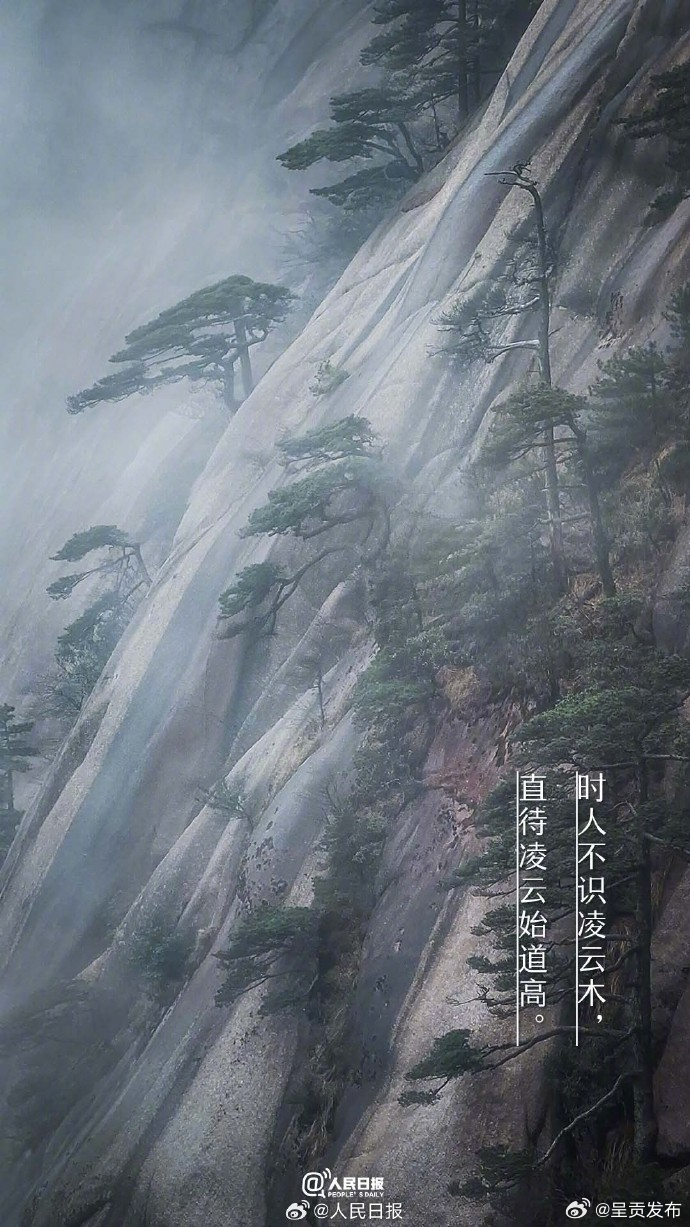 呈贡发布