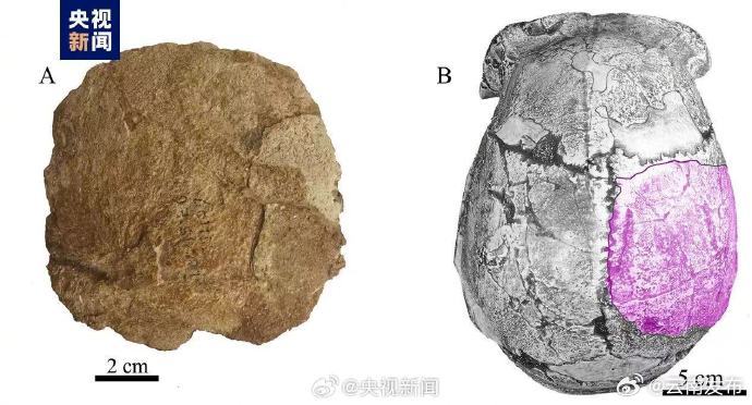 北京人遗址新发现古人类顶骨化石
