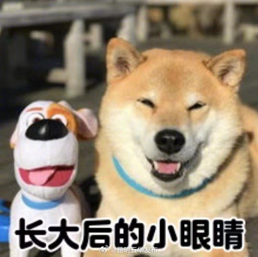 昆明五华发布