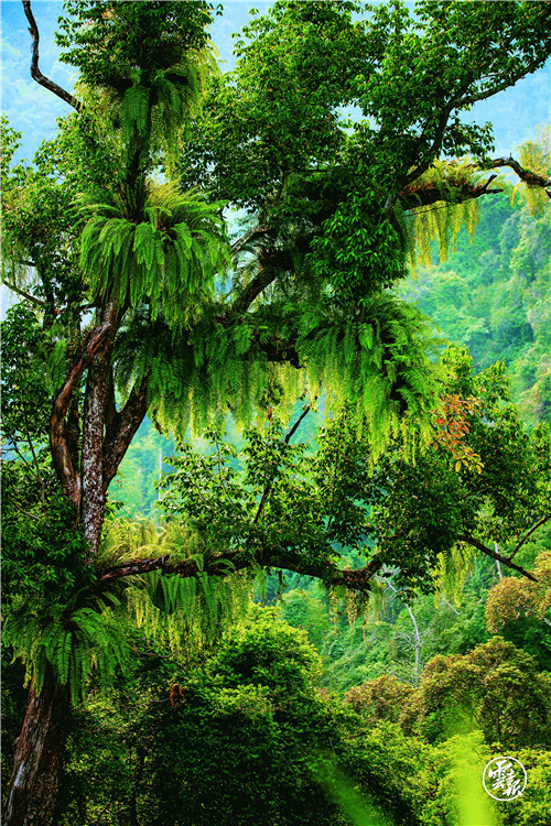 云南省文化和旅游厅