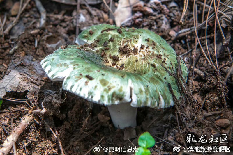 滇池旅游度假区