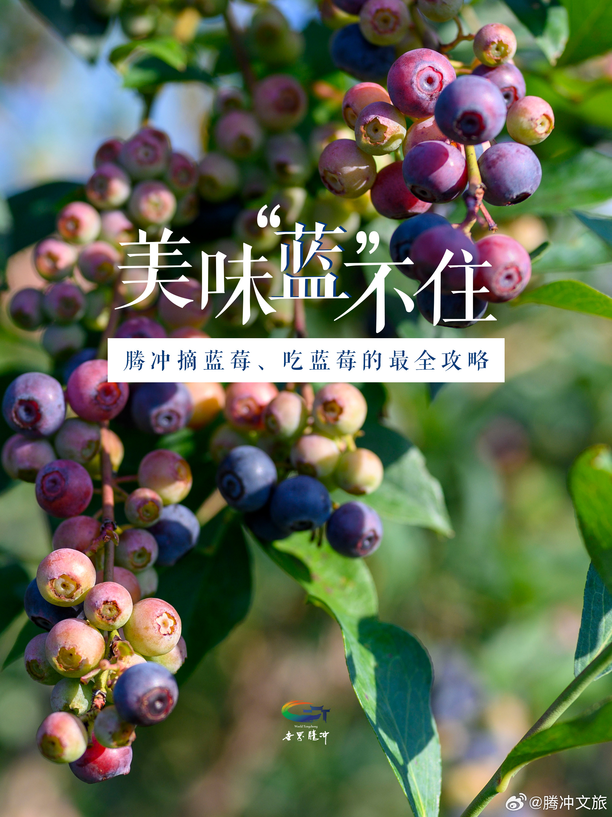 腾冲文旅
