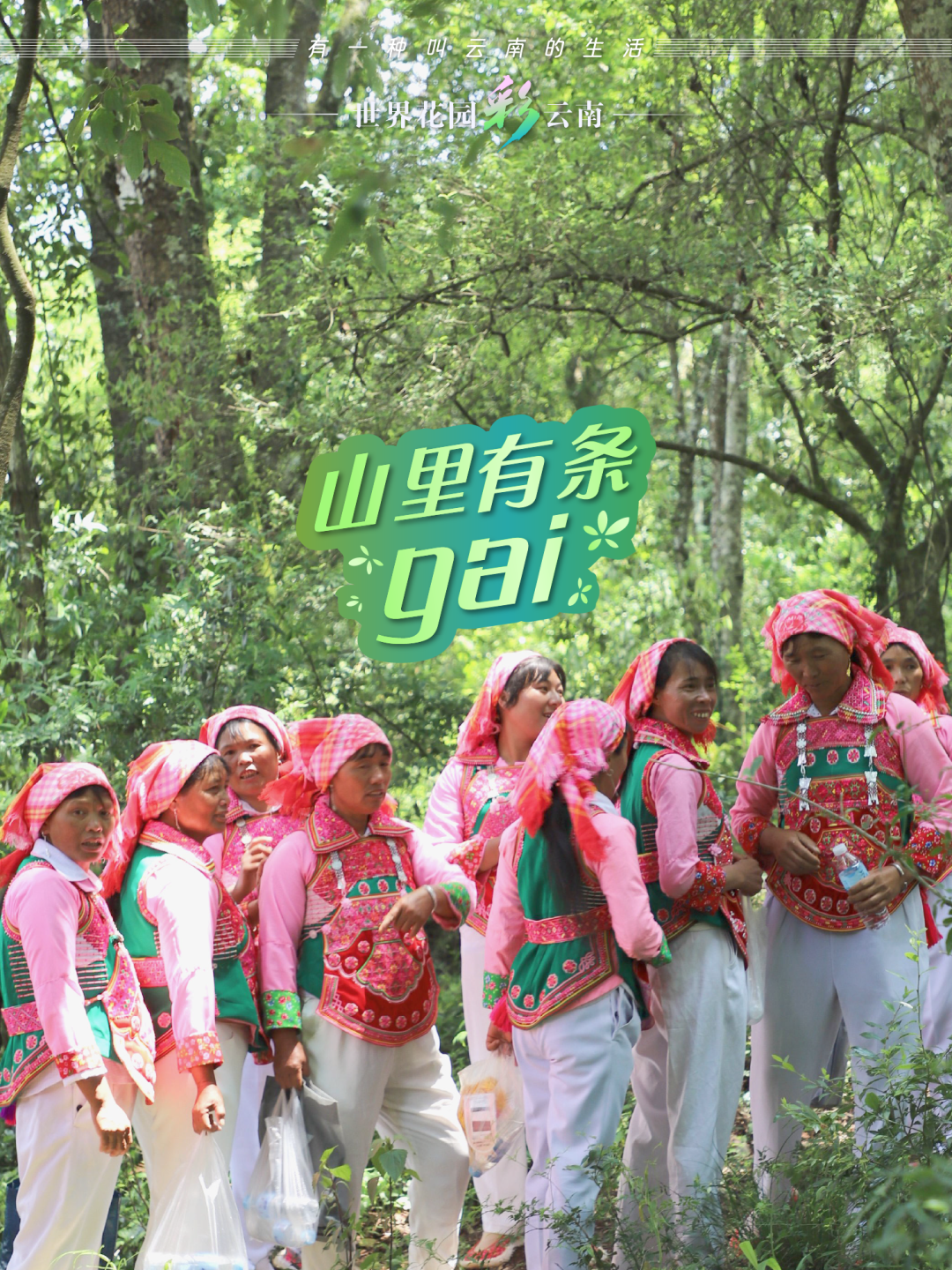 云南省文化和旅游厅