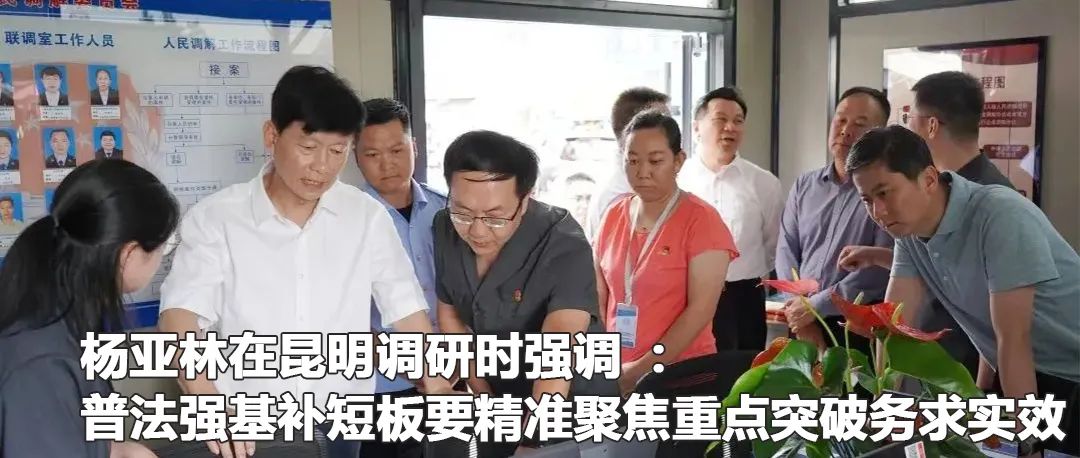 云南政法