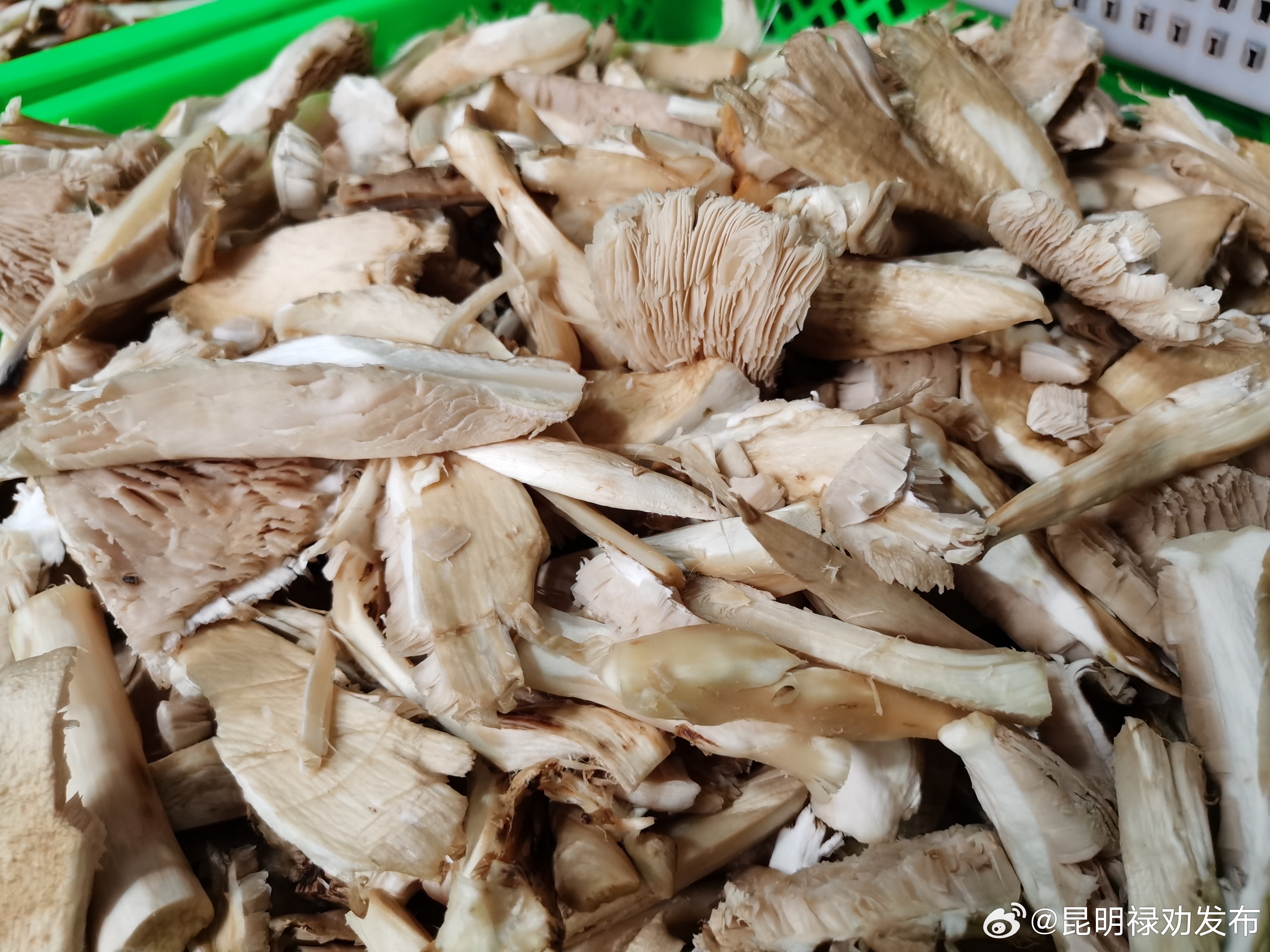 昆明禄劝发布