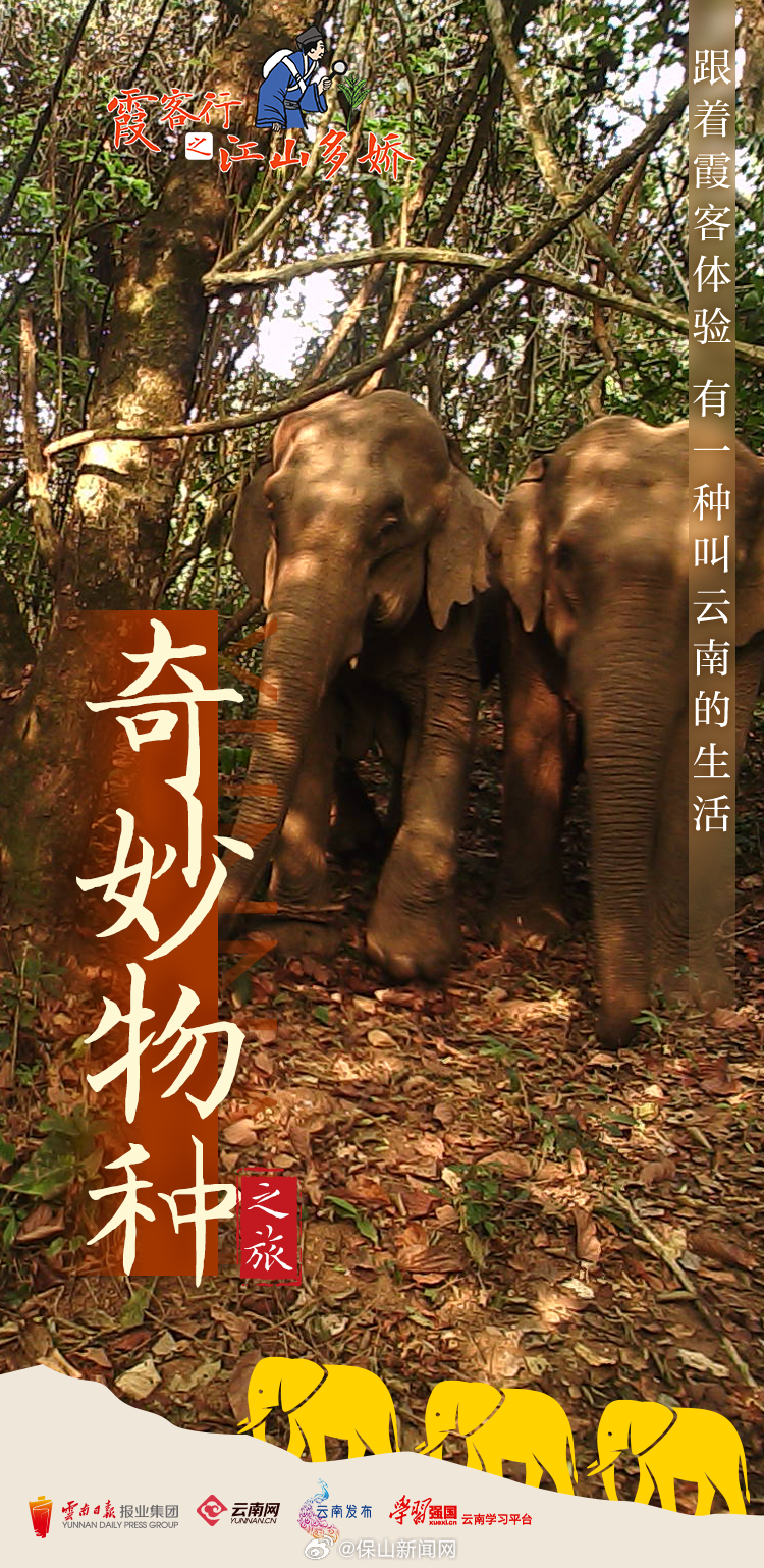 跟着霞客体验有一种叫云南的生活·奇妙物种之旅