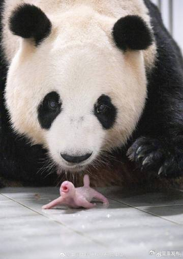 呈贡发布