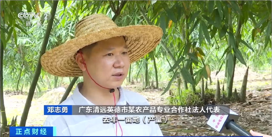 昆明信息港/cnkmxxg