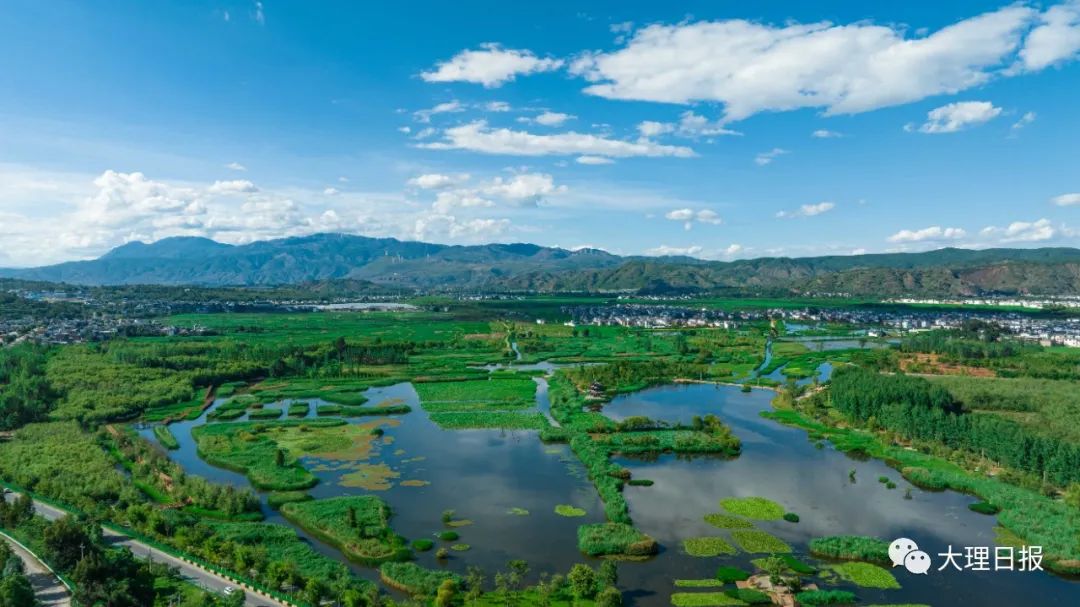 大理日报