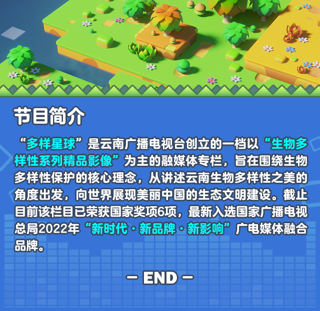 云南广播电视台微信