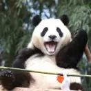 昆明西山发布