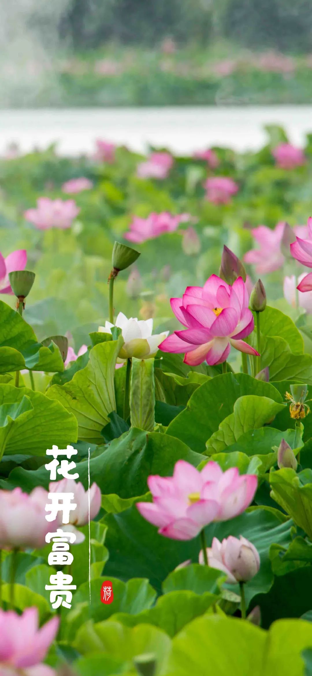 云南省文化和旅游厅