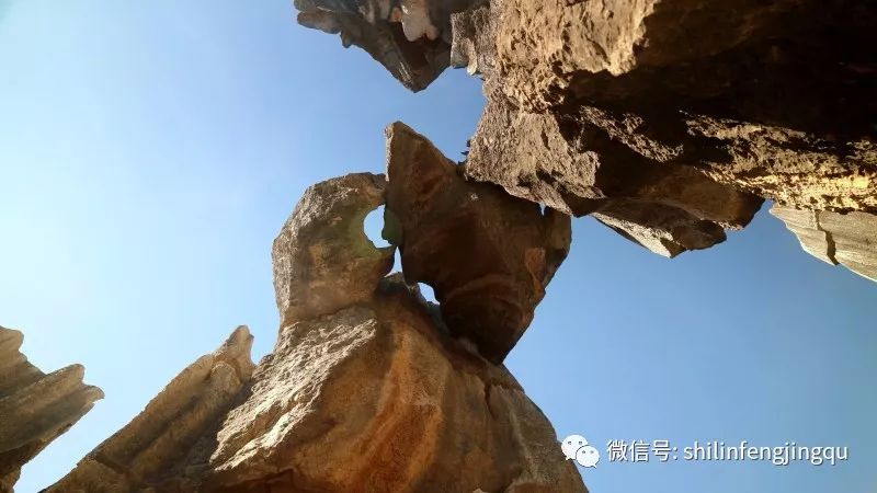 石林融媒