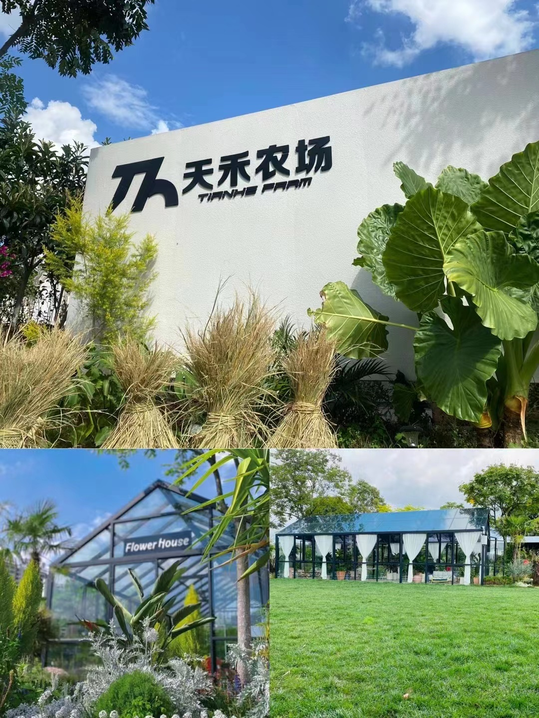 石林融媒