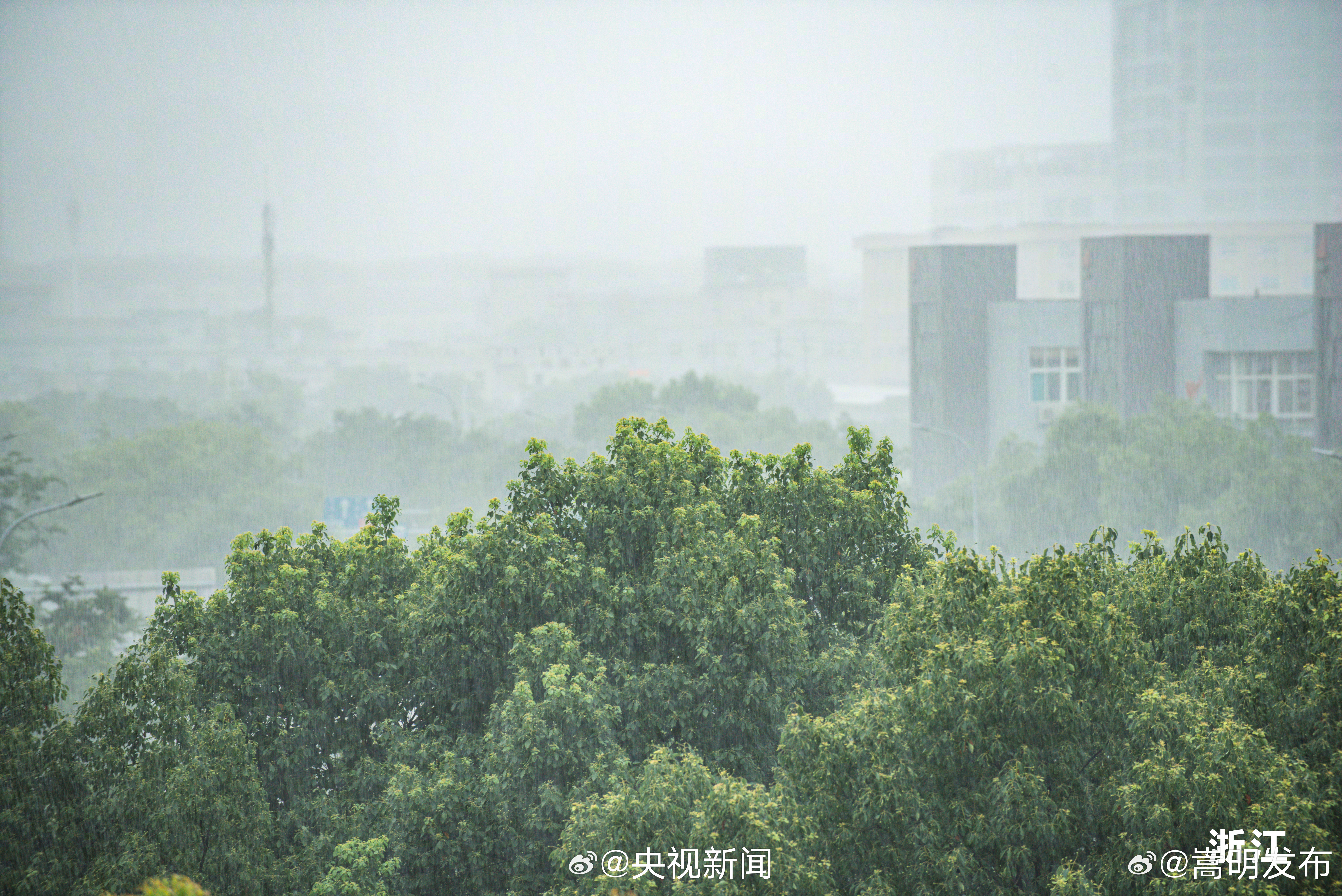 嵩明发布