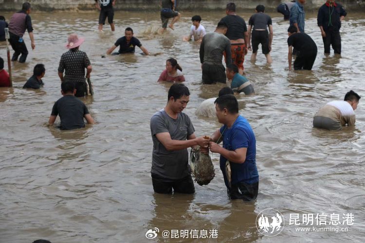 昆明信息港微博