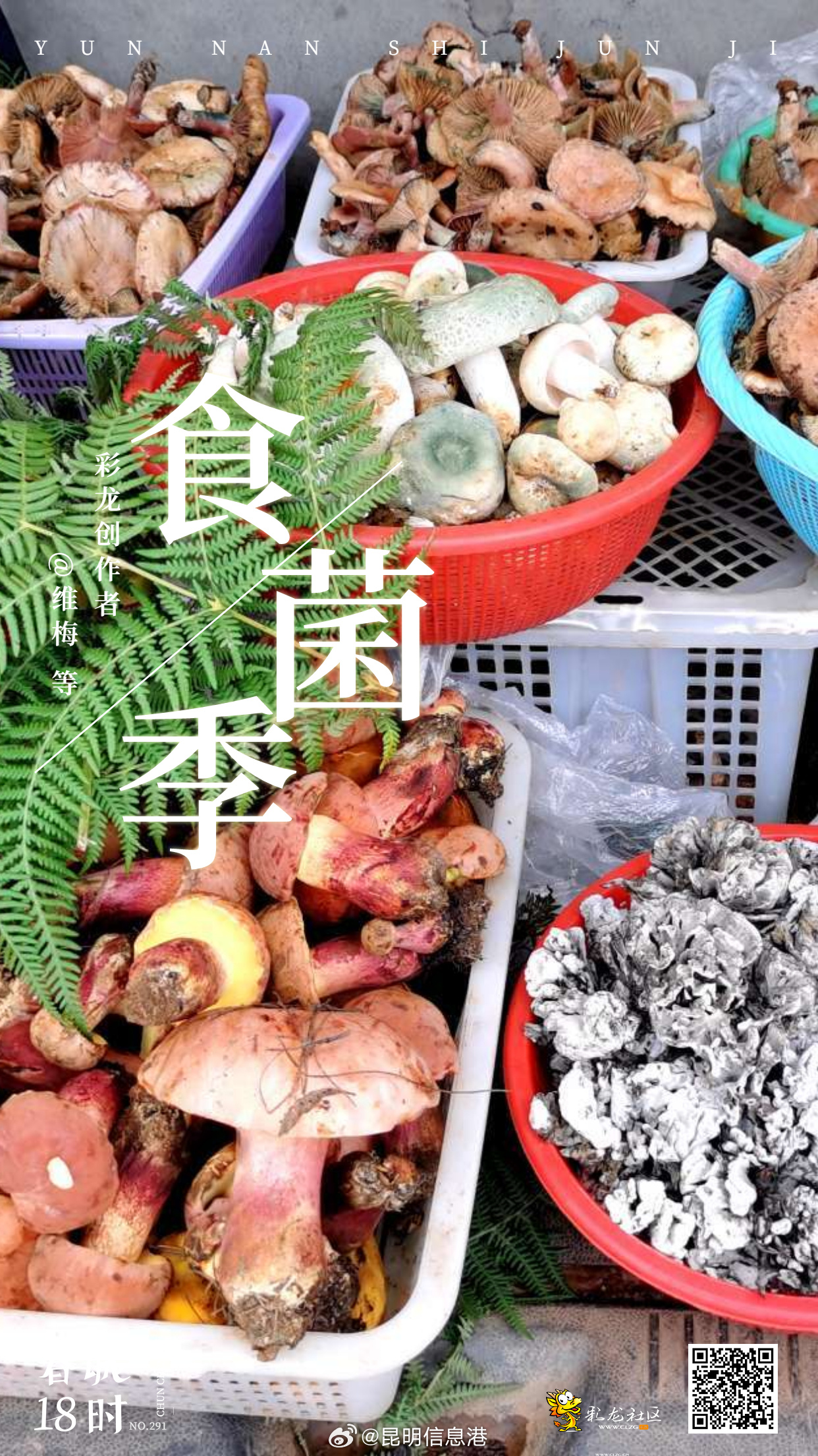 昆明信息港微博