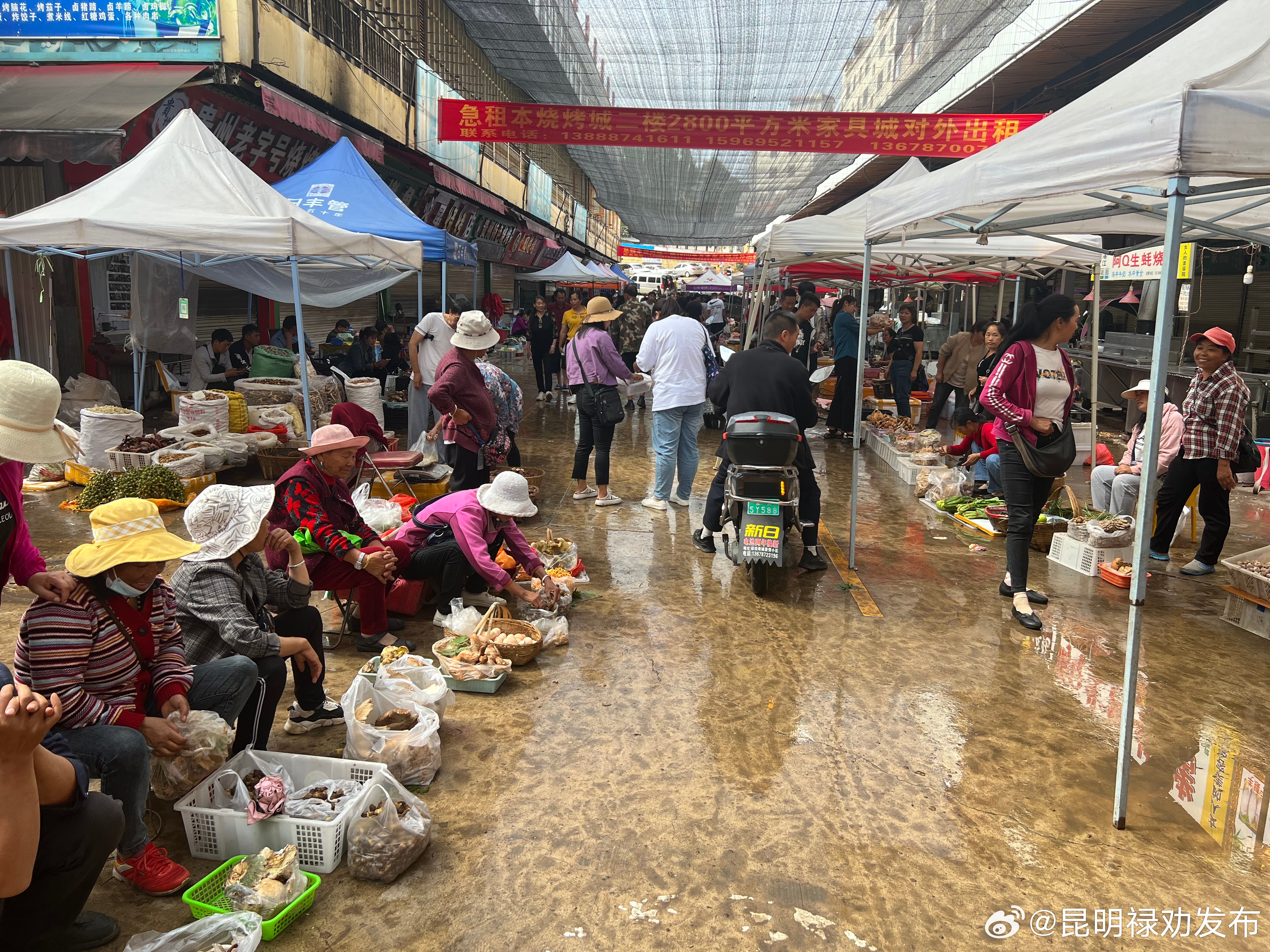 昆明禄劝发布