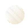 云南政法