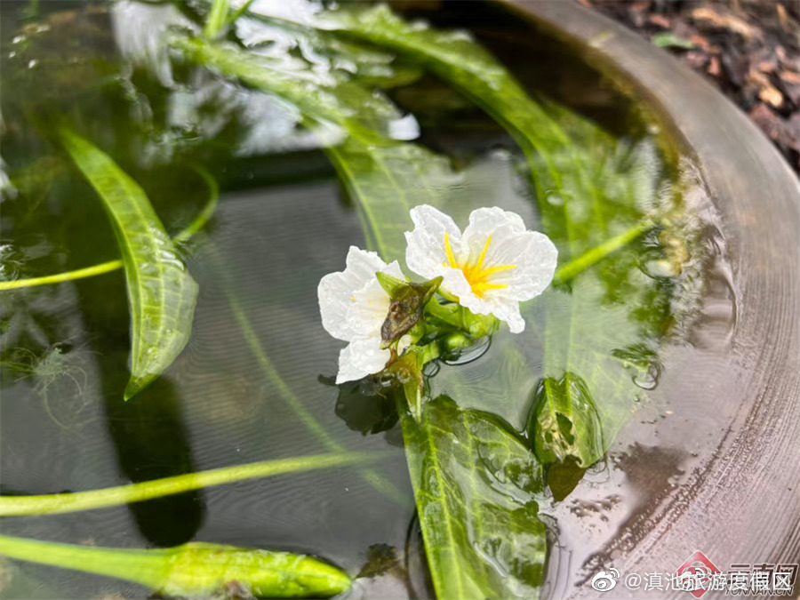 滇池旅游度假区