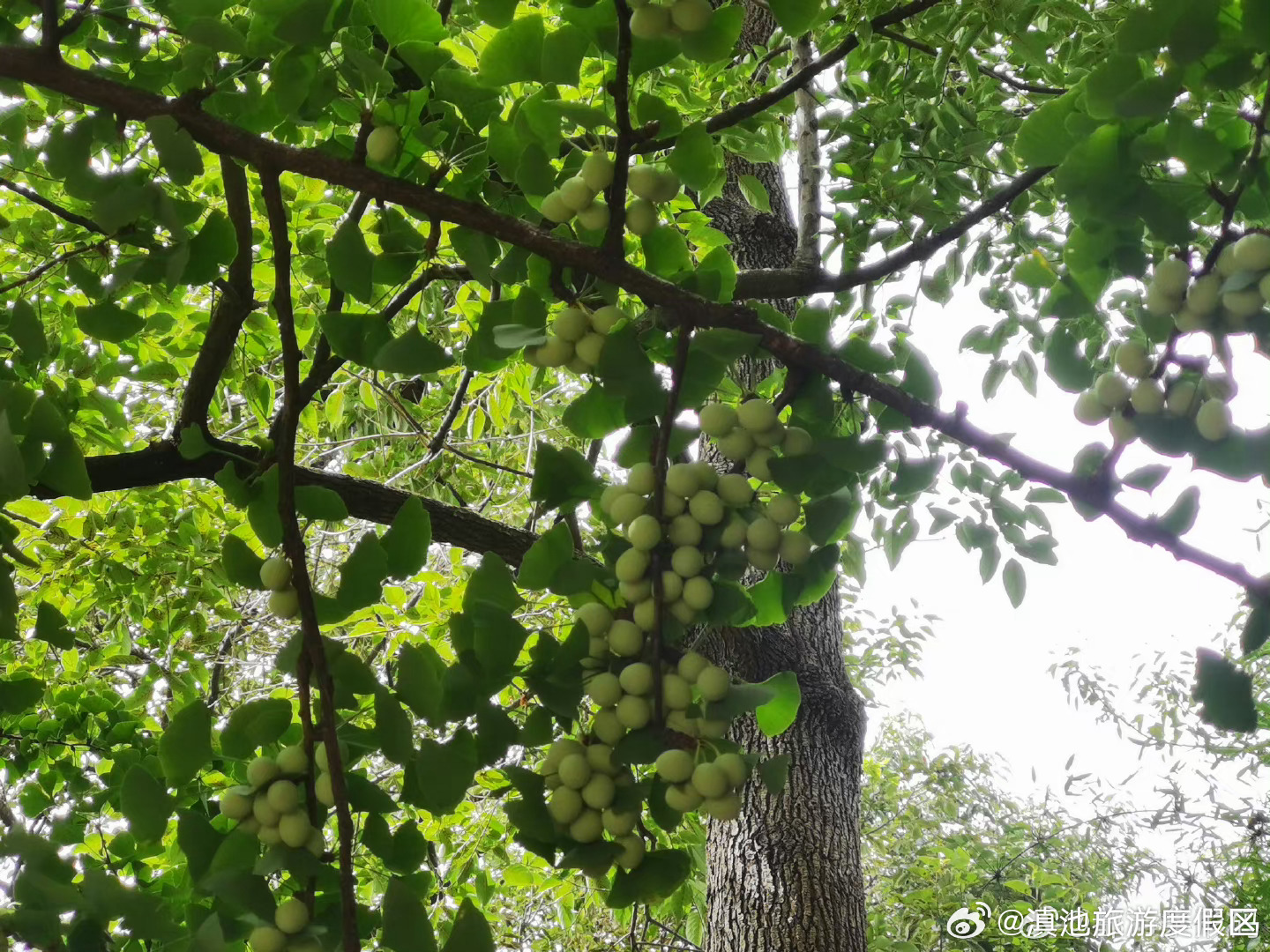 云南省未来24小时天气预报